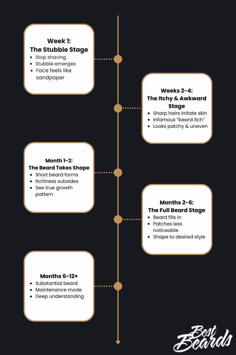best beard growth timeline
